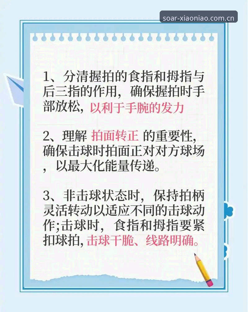 小鸟体育手机版 小鸟体育手机版使用指南:从入门到精通的完整教程